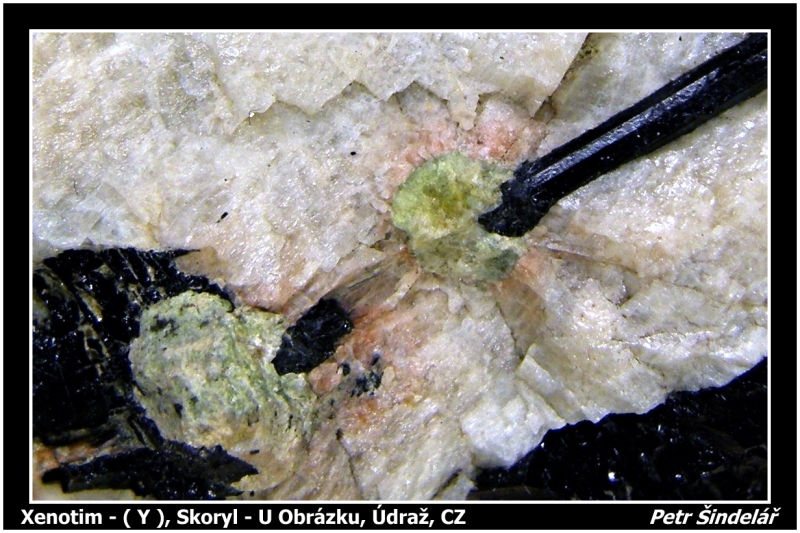Xenotim-(Y)