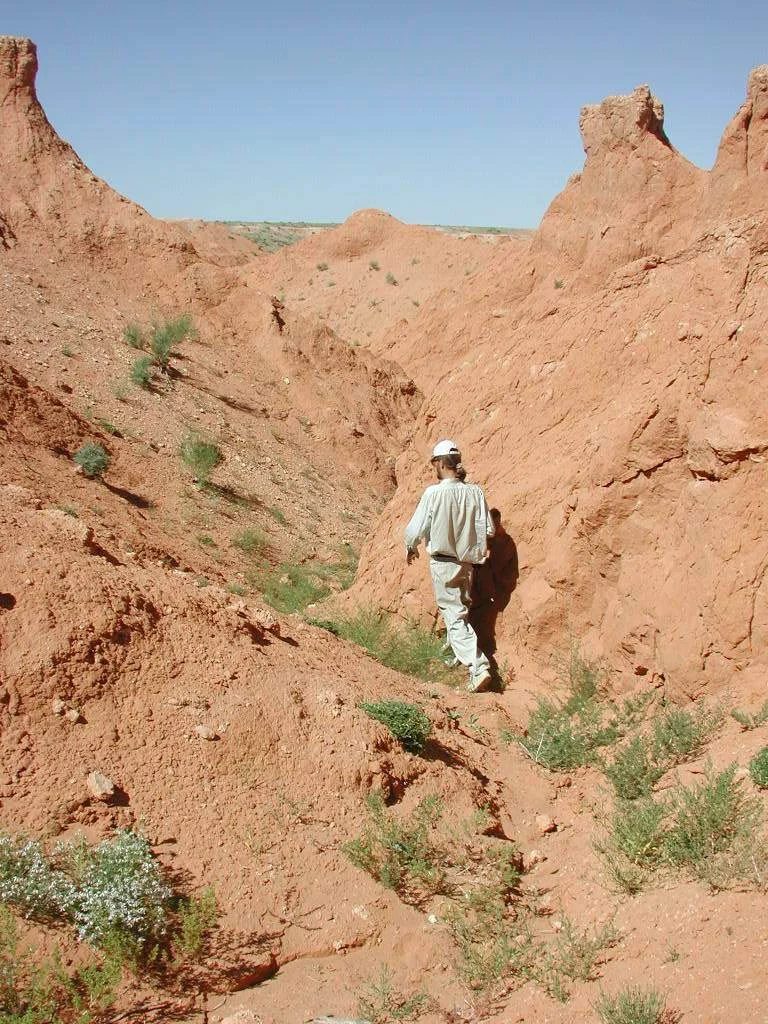 Mineralogická lokalita Bayan Dzag, Mongolia