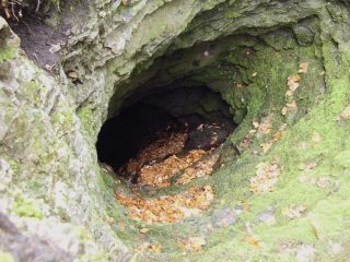 Borovec, šachta Na Bárově