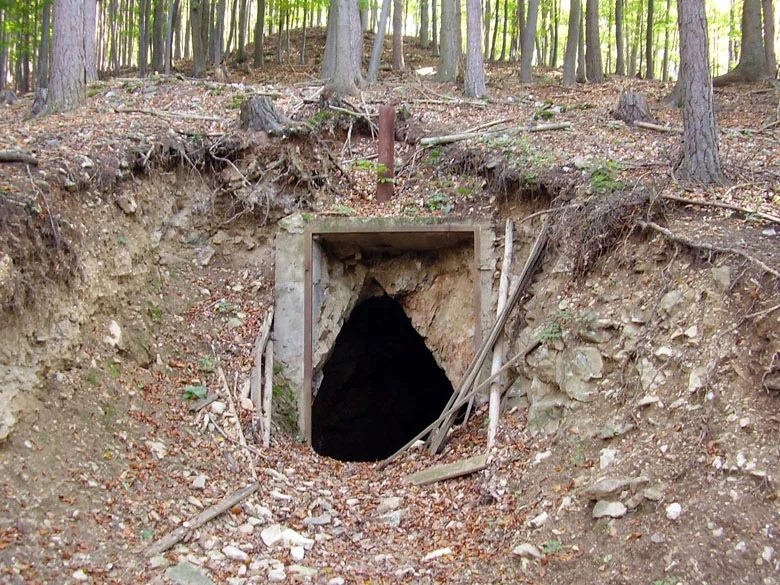 Mineralogická lokalita Borovec, štola Na Bukovské, Czech Republic