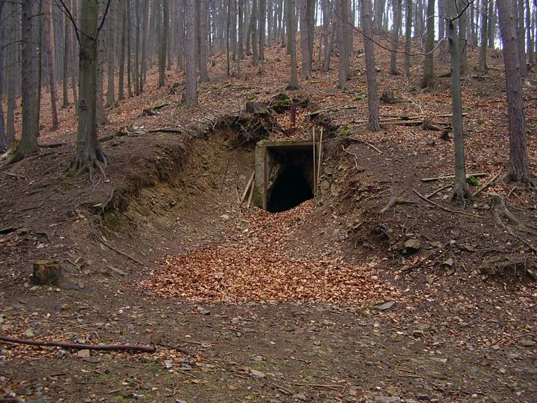 Mineralogická lokalita Borovec, štola Na Bukovské, Czech Republic