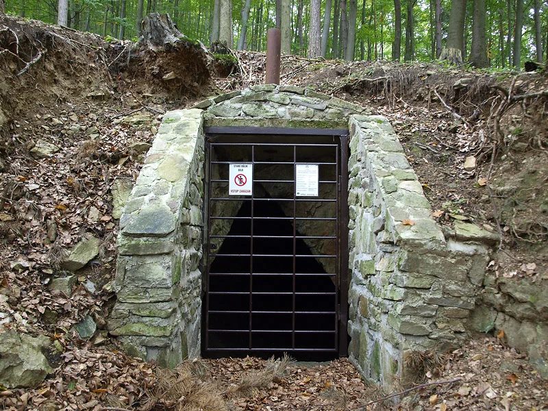 Mineralogická lokalita Borovec, štola Na Bukovské, Czech Republic