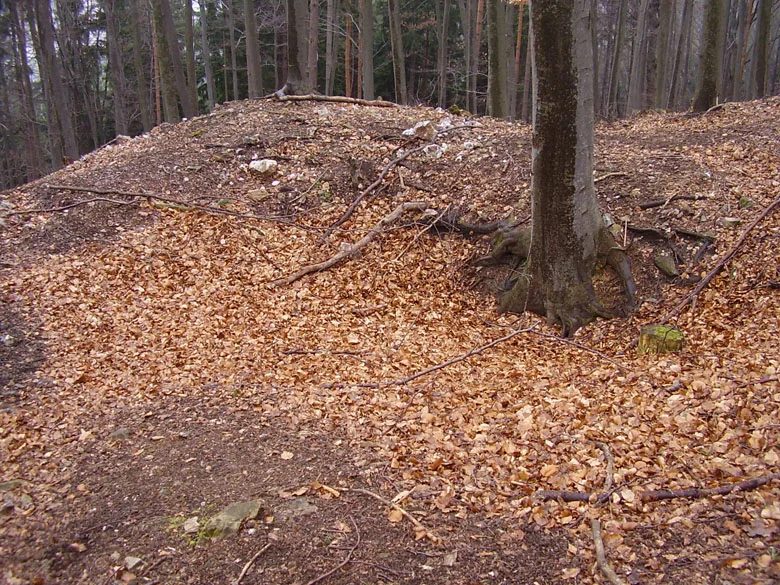Mineralogická lokalita Borovec, Czech Republic