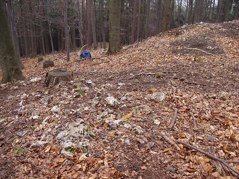 Mineralogická lokalita Borovec, Czech Republic