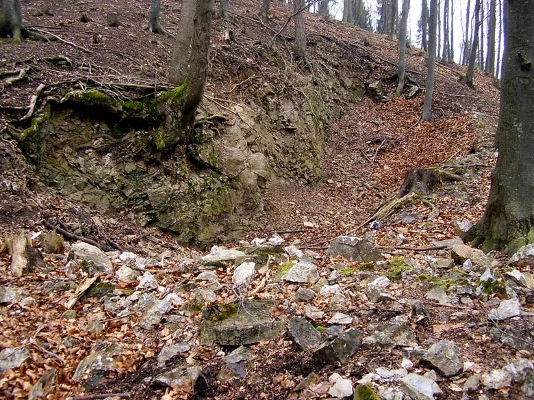 Mineralogická lokalita Borovec, Czech Republic