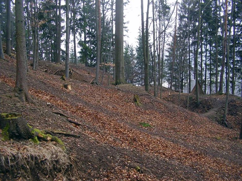 Mineralogická lokalita Borovec, Czech Republic