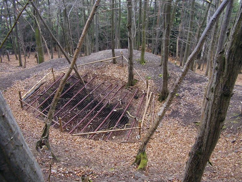 Mineralogická lokalita Borovec, Czech Republic