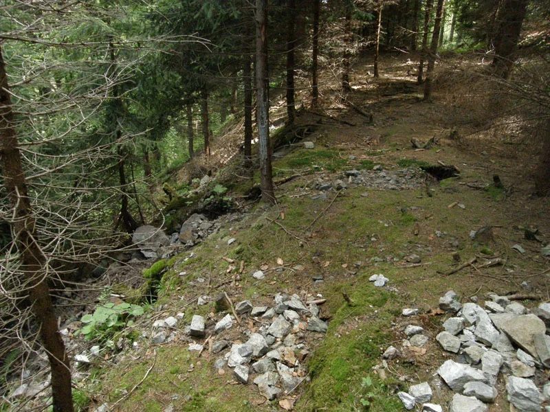 Mineralogická lokalita Boží Dar, Krušné Hory, Czech Republic