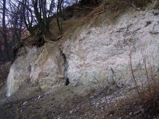 Brno, Kohoutovice