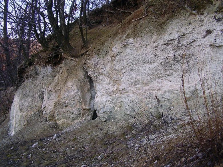 Mineralogická lokalita Brno, Kohoutovice, Czech Republic