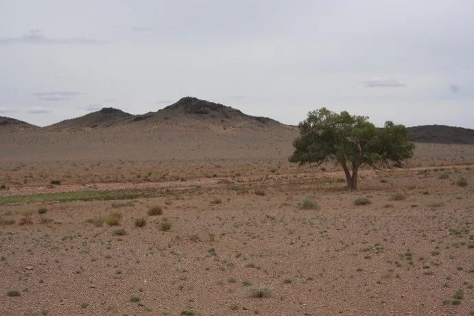 Mineralogická lokalita Chan Bogd, Mongolia