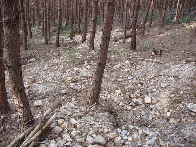 Mineralogická lokalita Dolní Bory, Czech Republic