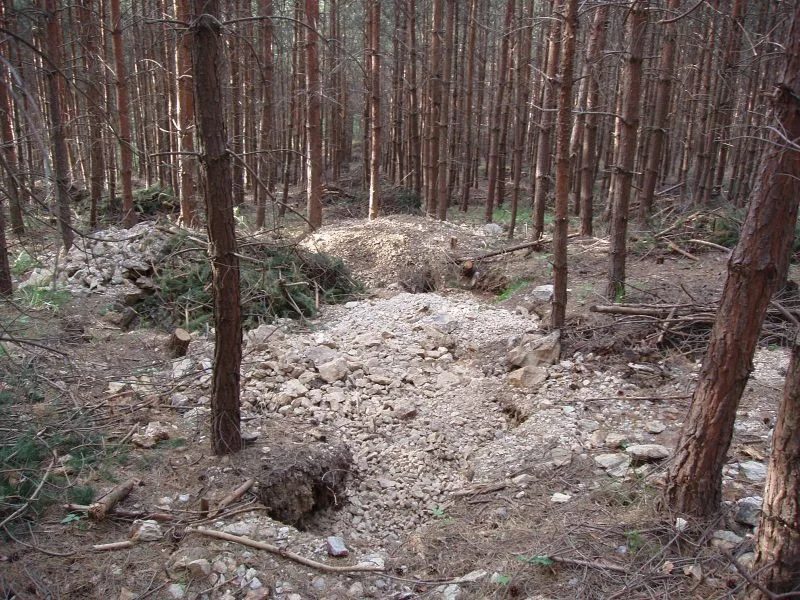 Mineralogická lokalita Dolní Bory, Czech Republic