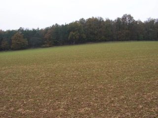Dukovany