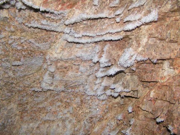 Mineralogická lokalita Dzunbayan 5, Mongolia