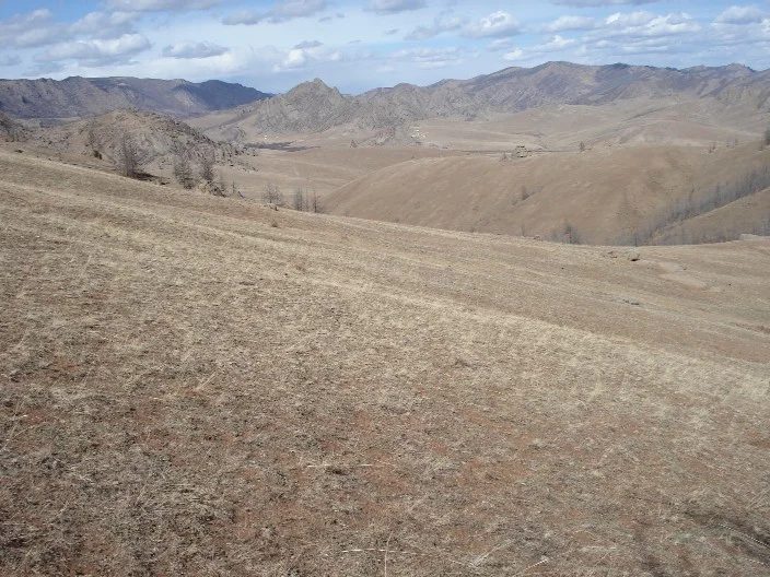 Mineralogická lokalita Gorkhi Massif, Mongolia