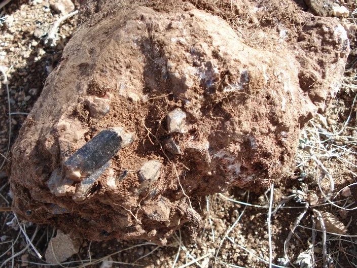 Mineralogická lokalita Gorkhi Massif, Mongolia