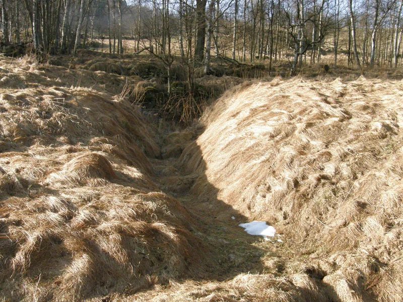 Mineralogická lokalita Hora Svaté Kateřiny, Czech Republic
