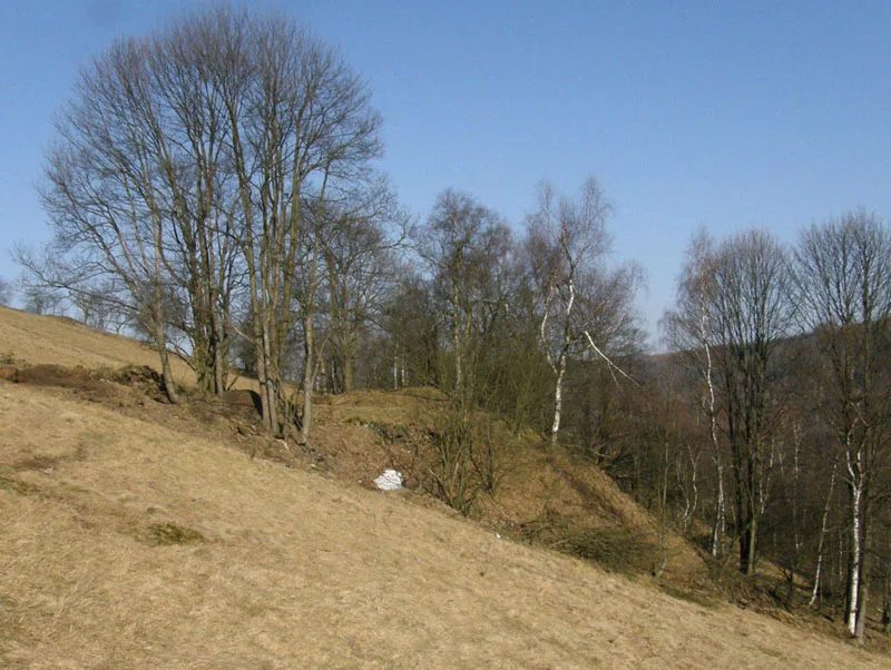 Mineralogická lokalita Hora Svaté Kateřiny, Czech Republic
