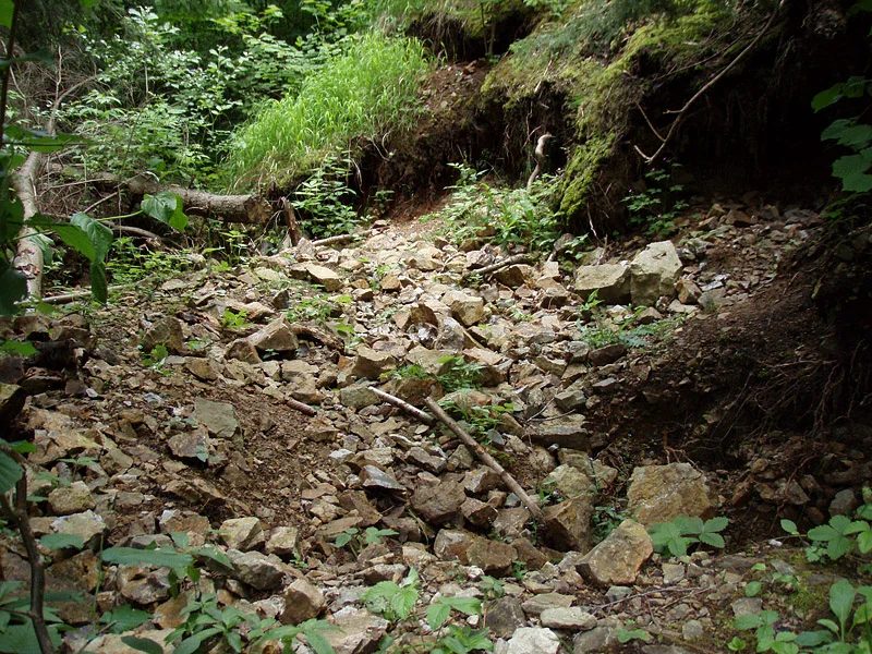 Mineralogická lokalita Kožlí, Czech Republic
