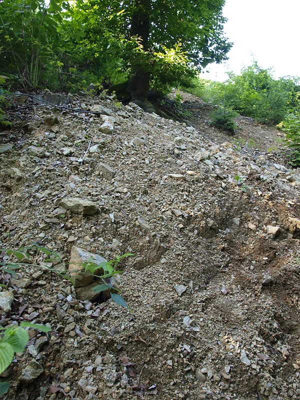 Mineralogická lokalita Kožlí, Czech Republic