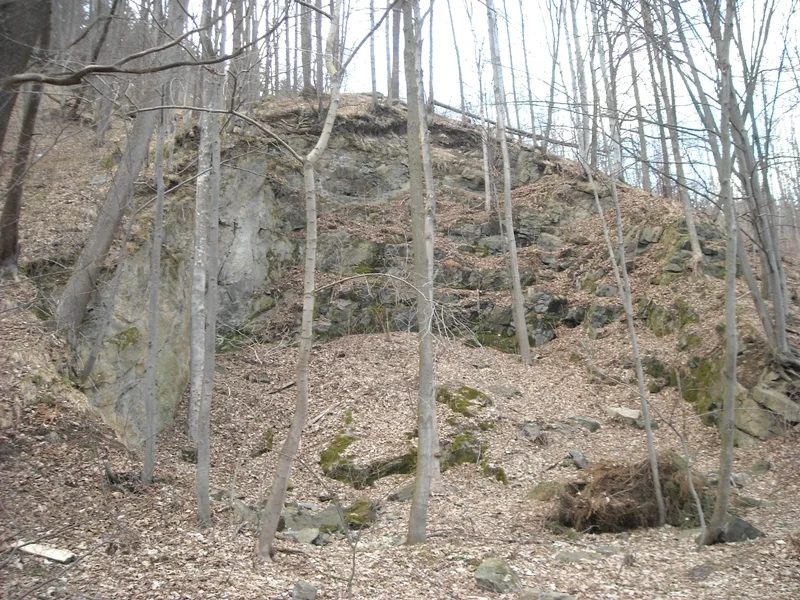 Mineralogická lokalita Kožušná, Sobotín, Czech Republic