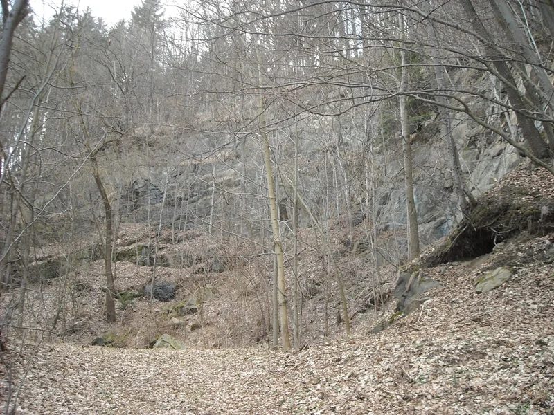 Mineralogická lokalita Kožušná, Sobotín, Czech Republic