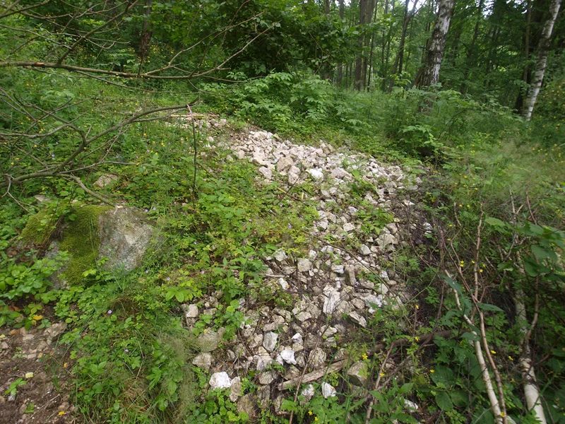 Mineralogická lokalita Maršíkov, Střelecký důl, Czech Republic