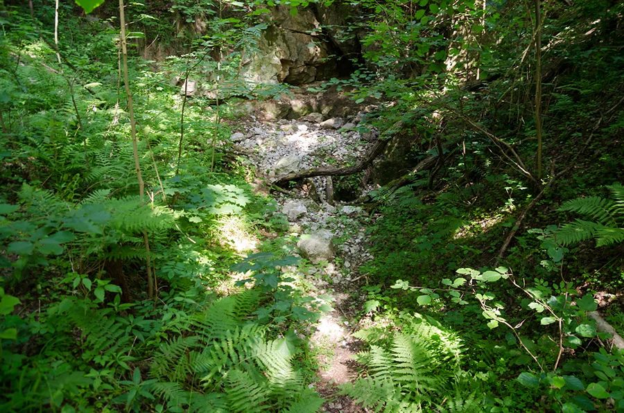 Mineralogická lokalita Maršíkov, Střelecký důl, Czech Republic