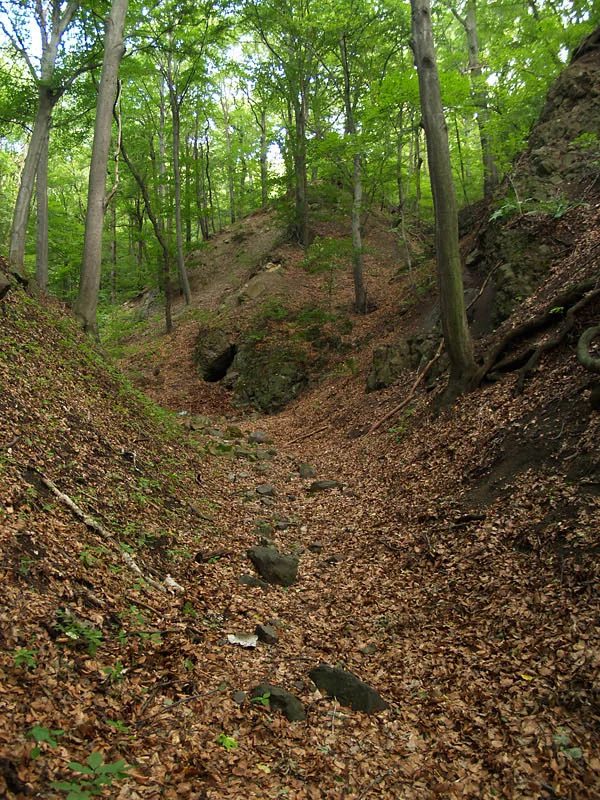 Mineralogická lokalita Mojžíř, Czech Republic