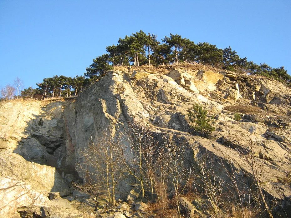 Mineralogická lokalita Most, Špičák, Czech Republic
