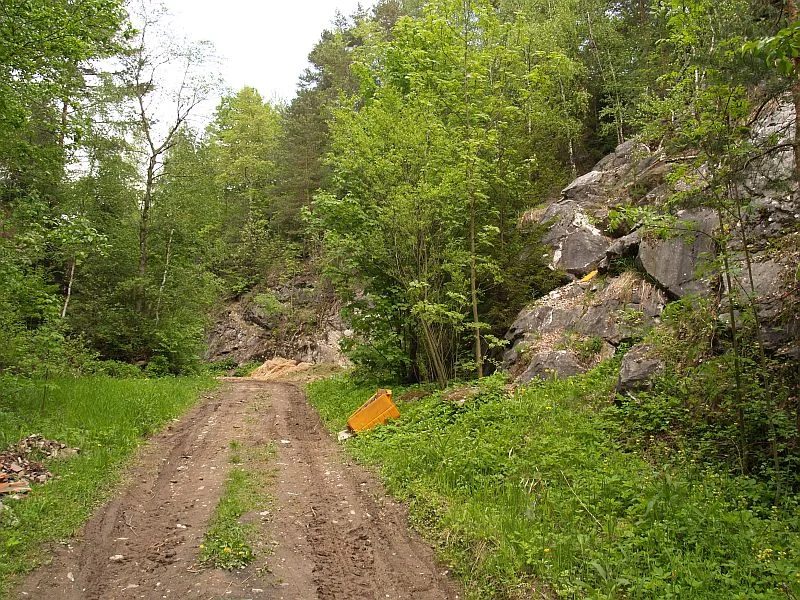 Mineralogická lokalita Nedvědice (Obecní lom), Czech Republic