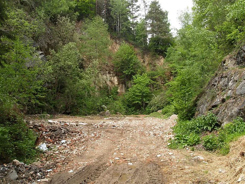 Mineralogická lokalita Nedvědice (Obecní lom), Czech Republic