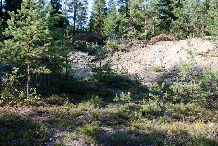 Mineralogická lokalita Oloví, vrch Železník, Czech Republic
