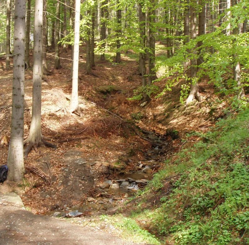 Mineralogická lokalita Ostružná, Czech Republic