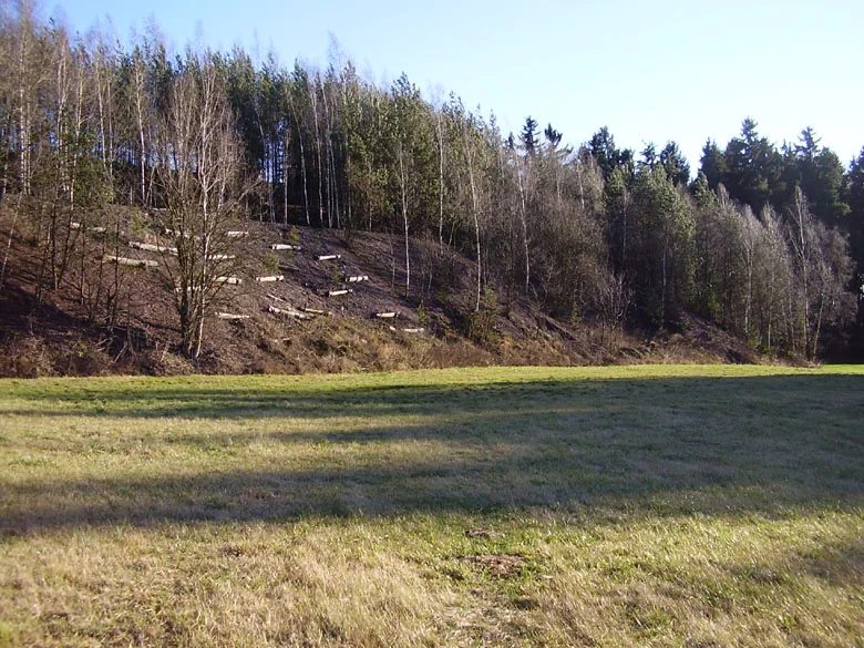 Mineralogická lokalita Petrovice, Czech Republic