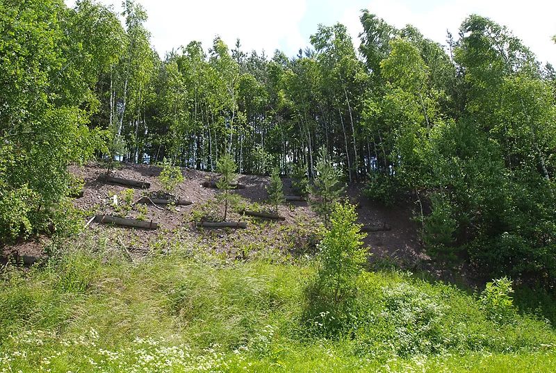 Mineralogická lokalita Petrovice, Czech Republic