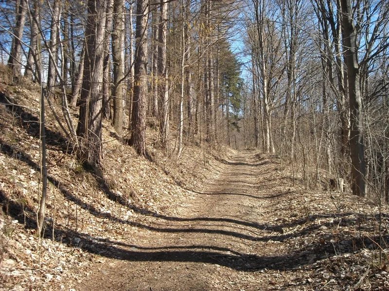 Mineralogická lokalita Pfarrerb, Sobotín, Czech Republic