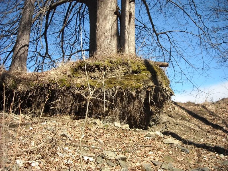 Mineralogická lokalita Pfarrerb, Sobotín, Czech Republic