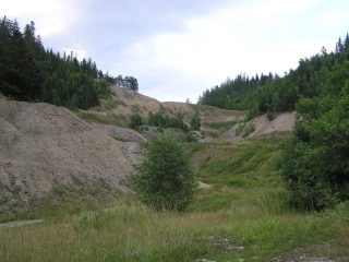 Piesky