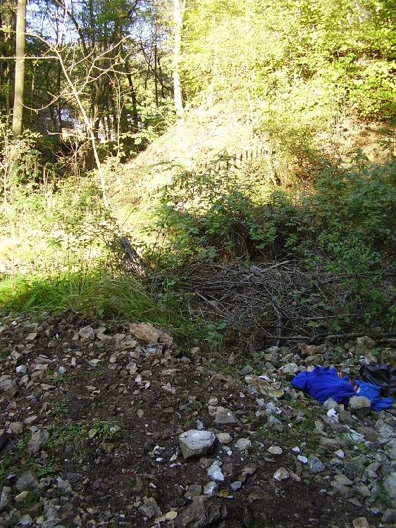 Mineralogická lokalita Poličany, štola A. Paduánskeho, Czech Republic