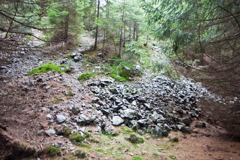 Mineralogická lokalita Potůčky, Stráň, Krušné hory, Czech Republic