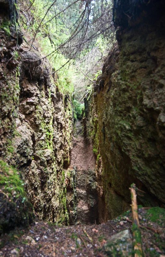 Mineralogická lokalita Přebuz, svah Hartelsbergu, Czech Republic