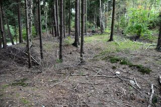 Rančířov