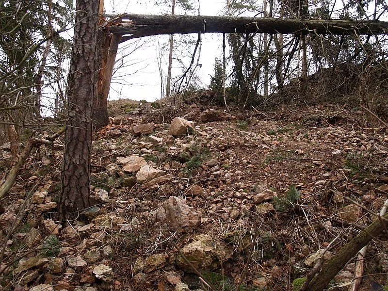 Mineralogická lokalita Rožná, Borovina, Czech Republic