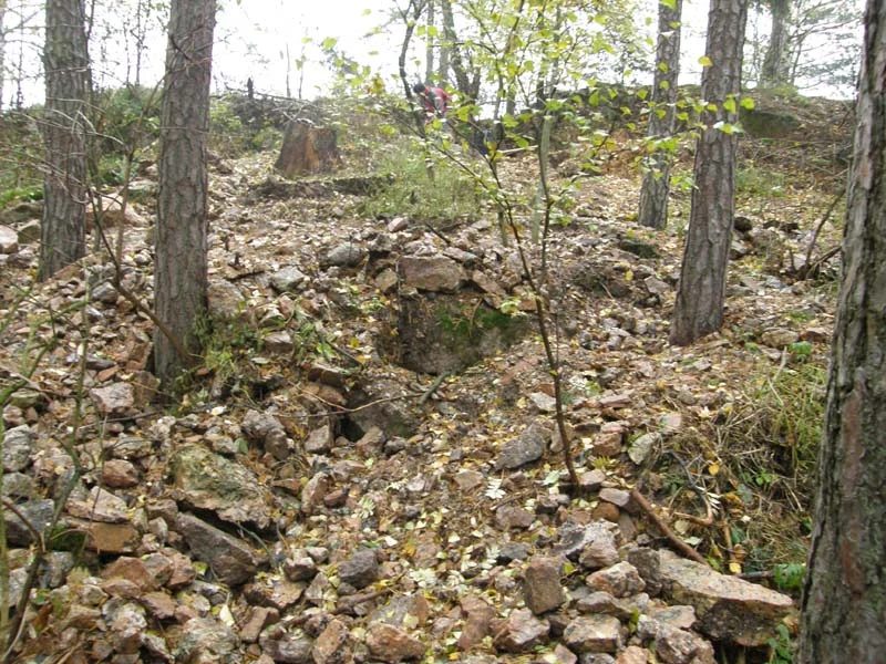 Mineralogická lokalita Rožná, Borovina, Czech Republic