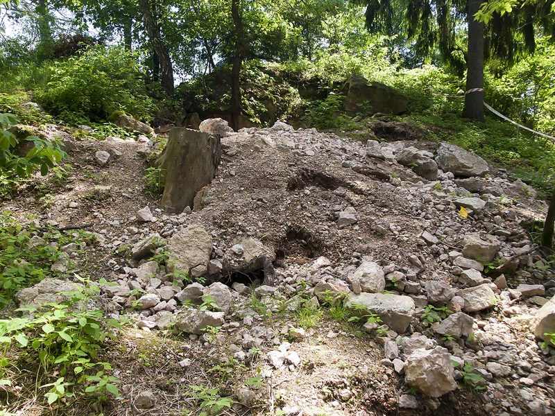 Mineralogická lokalita Rožná, Borovina, Czech Republic