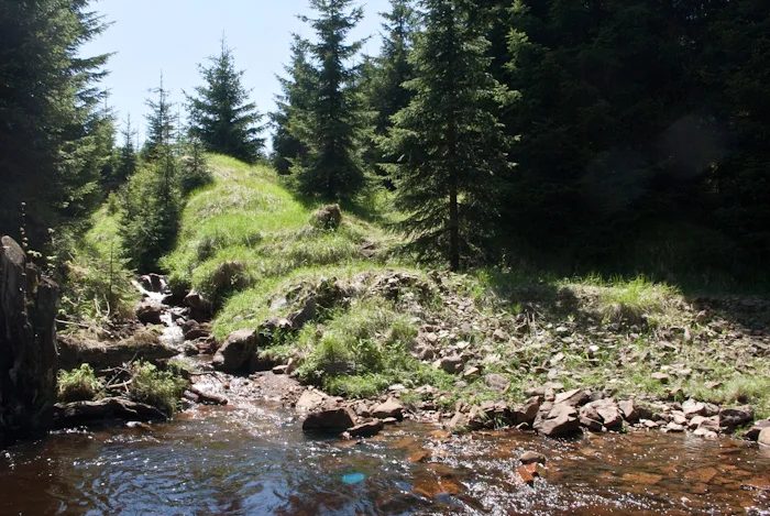 Mineralogická lokalita Rýžovna, Krušné hory, štola Michaeli, Czech Republic