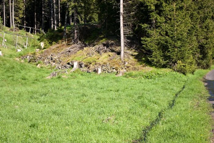 Mineralogická lokalita Rýžovna, Krušné hory, štola u Sejfského mlýna, Czech Republic