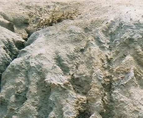 Mineralogická lokalita Sheeve Ovoo, Mongolia